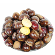 organic sweet fresh tianjin chestnuts